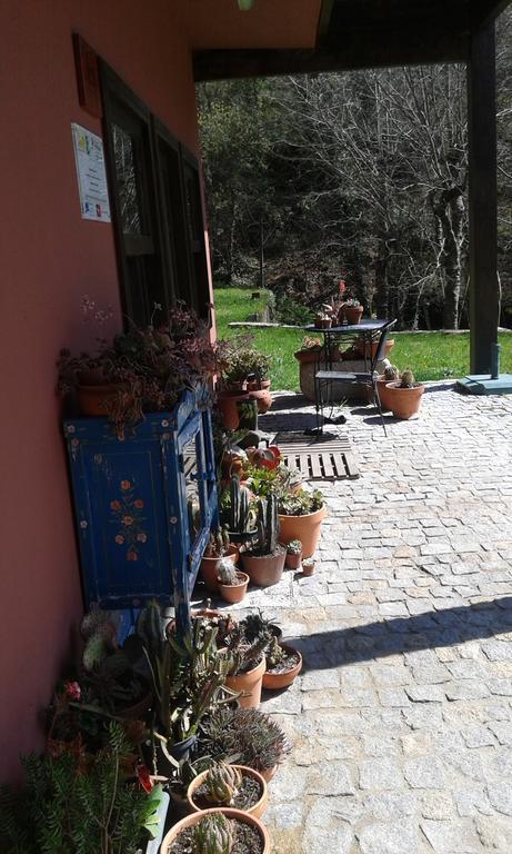فندق Marco de Canavezesفي  Eco Camping Juncal المظهر الخارجي الصورة