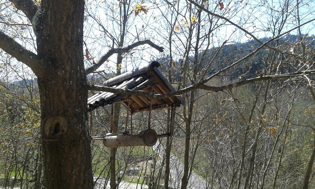فندق Marco de Canavezesفي  Eco Camping Juncal المظهر الخارجي الصورة