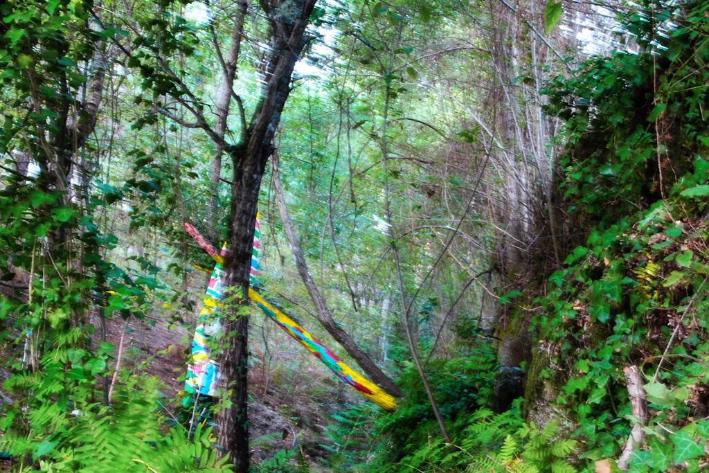 فندق Marco de Canavezesفي  Eco Camping Juncal المظهر الخارجي الصورة